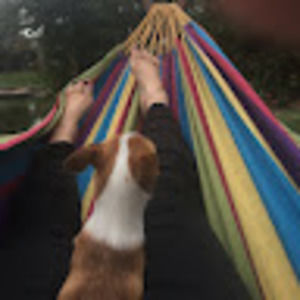 Meet your Posher, Carrie